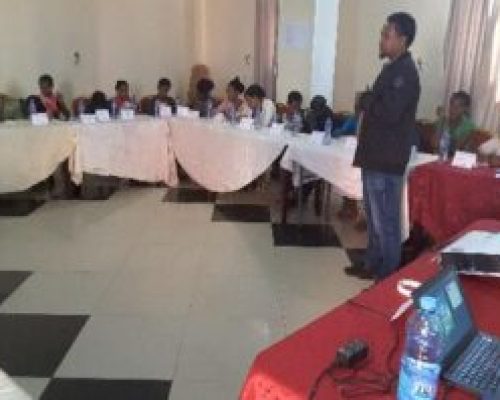 HAWE – PLAN international Ethiopia in North Shewa – Shewa robit town, North wollo – Lalibela town and Bahir Dar zuria woreda project area 2018-2019.