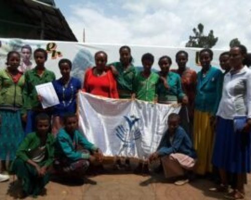 HAWE-Professional Alliance Development /PADet/ Awi zone , Addis Kidam Town