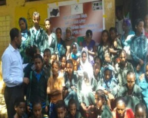 Bahir Dar city Zenzelma Primary school Girls and Gender club members