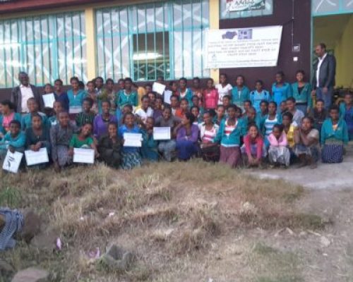 Bahir Dar City Menelik II Sub-city Highly Vulnerable Children